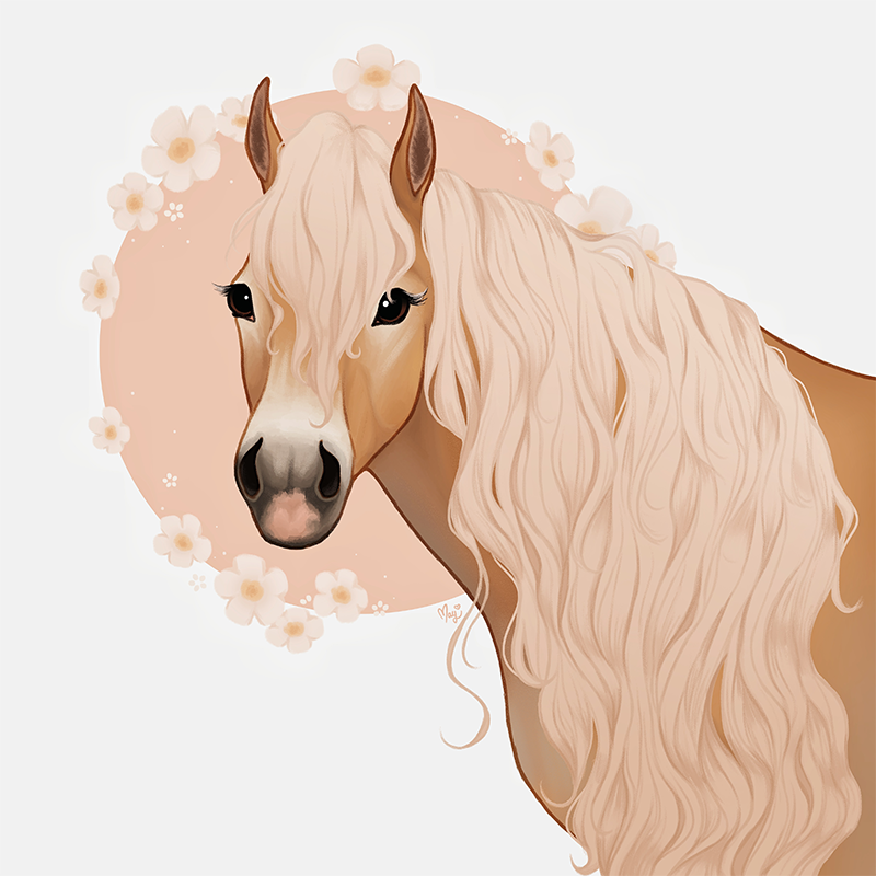 haflinger.png